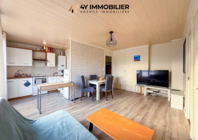 SEYSSINET-PARISET – Appartement T3 – 46m2
